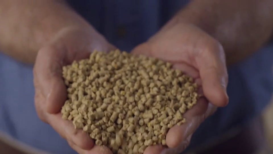 More from PERDUE®