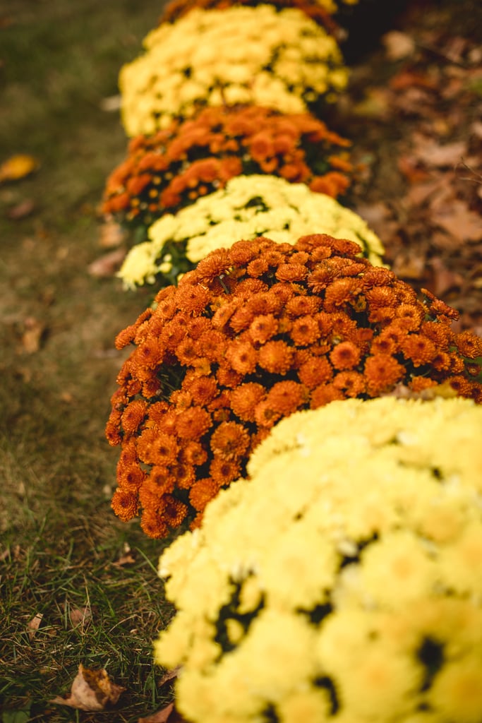 Halloween DIY Backyard Wedding Ideas