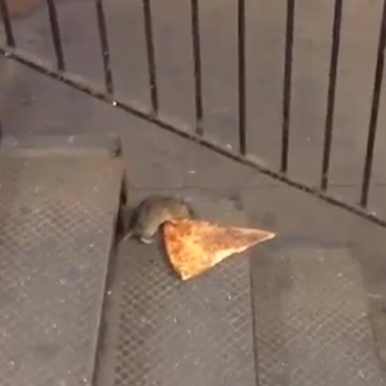 Pizza Rat in NYC
