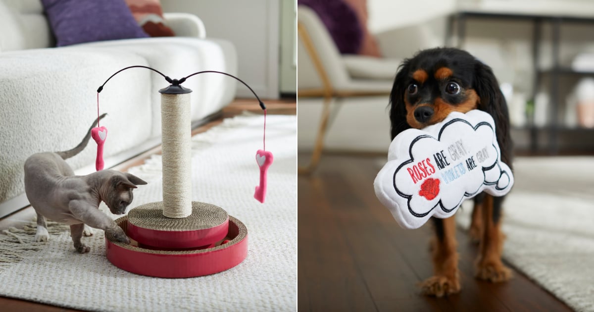 13 Valentine’s Day Gifts Your Pets Will Adore