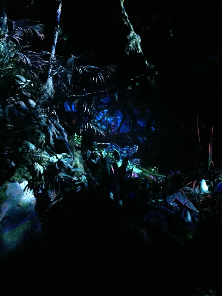 Which Pandora World of Avatar Ride Is For Kids?