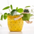 10 Indoor Planters and Pots to Liven Up Your Space