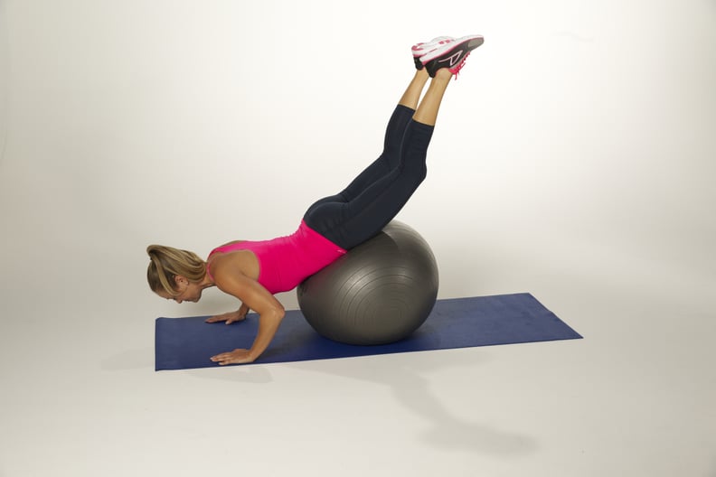 Dolphin on the Stability Ball