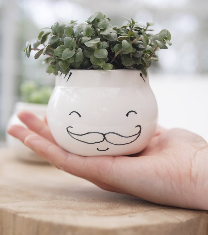 Moustache Face Planter