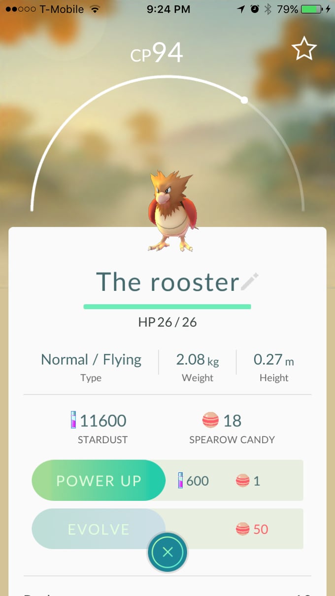 Spearow aka "The rooster"
