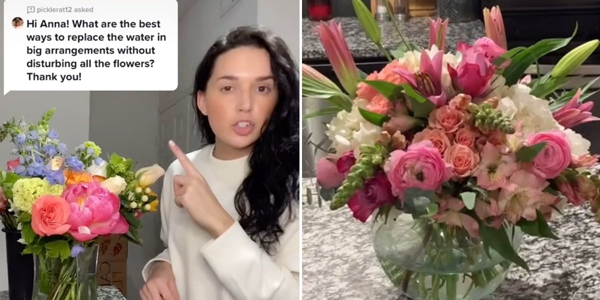 Flower TikTok How to Keep Your Plants Alive and Healthy POPSUGAR Home