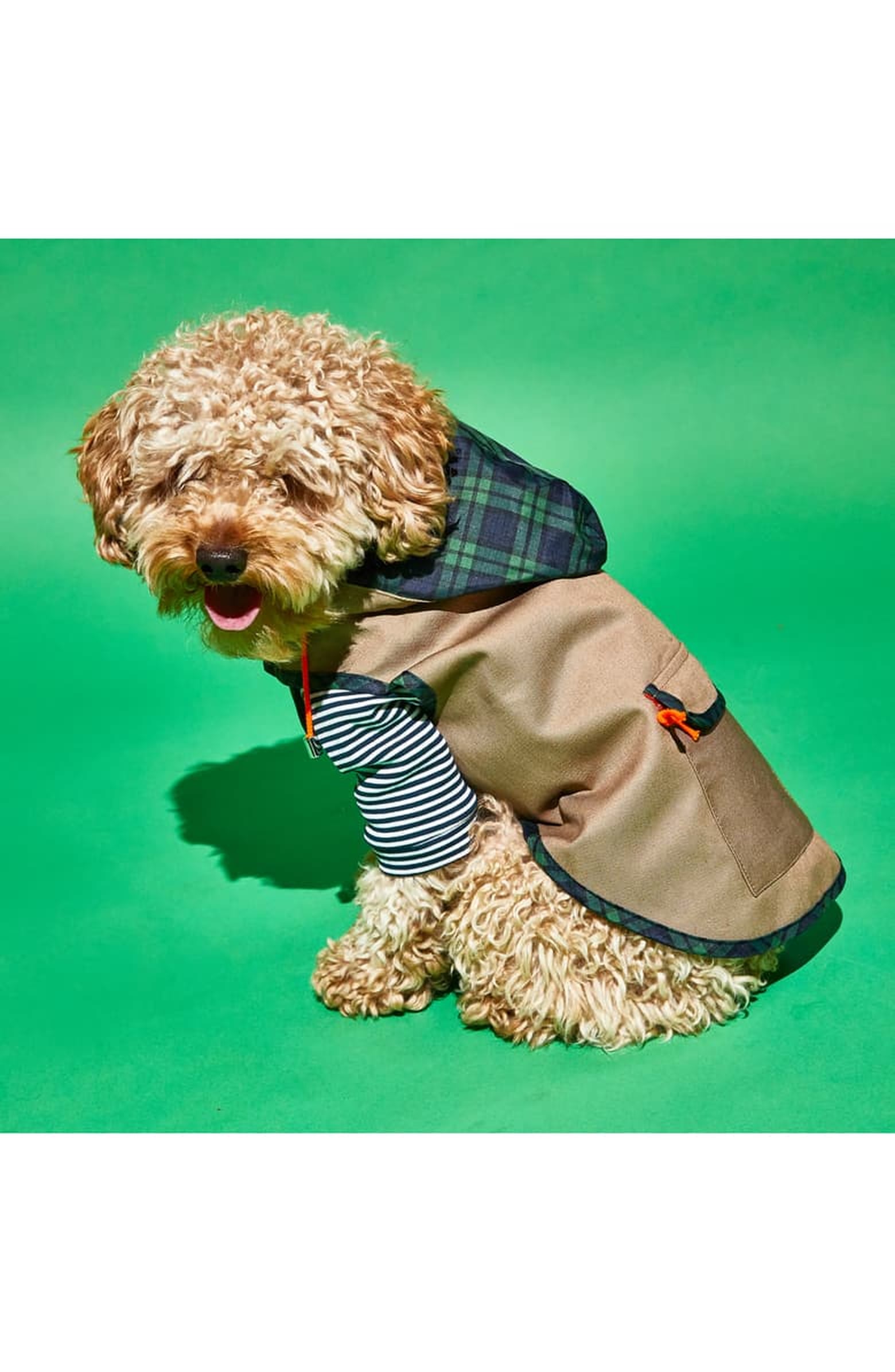 Best Dog Coats and Jackets 2020 POPSUGAR Pets
