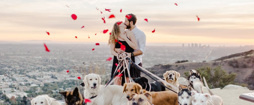 Man Proposes to His Girlfriend With 16 Dogs