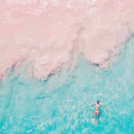 Pink Sands Beach in the Bahamas