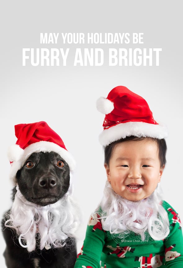 Adorable Baby and Puppy Christmas Picture Ideas