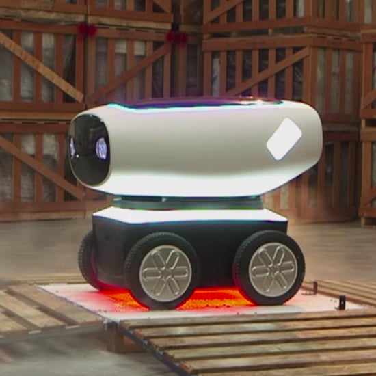 Domino's Pizza Delivery Robot