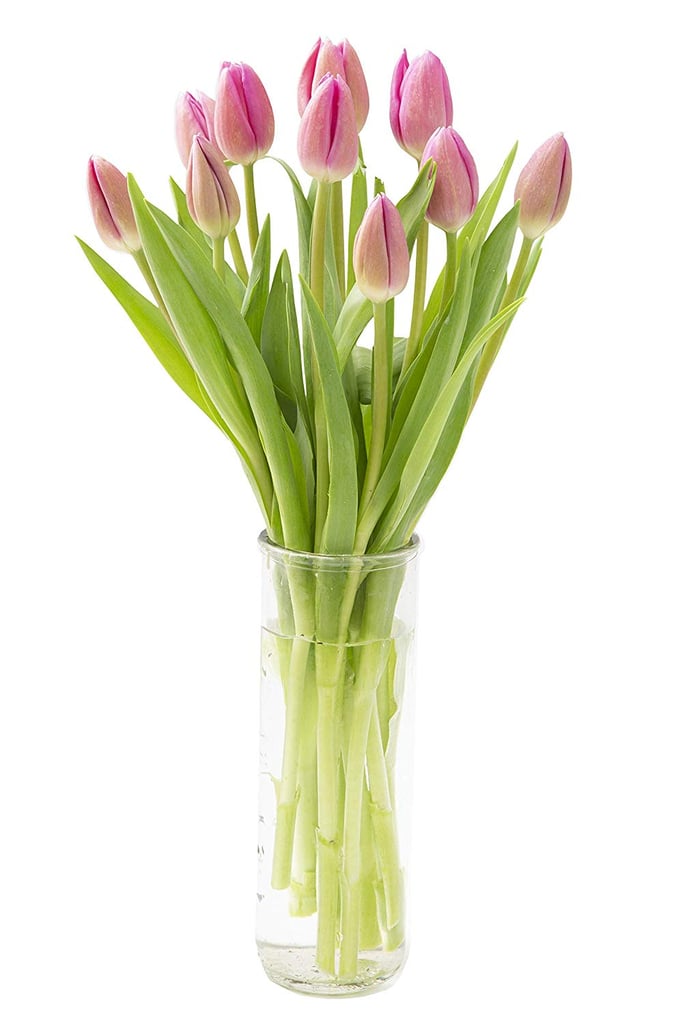 Bouquet of Fresh Pink Tulips