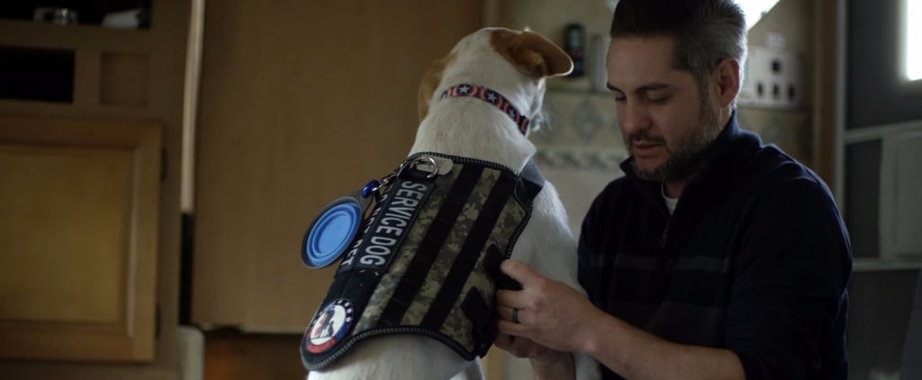 How Service Dogs Can Help Soldiers With PTSD (Video)