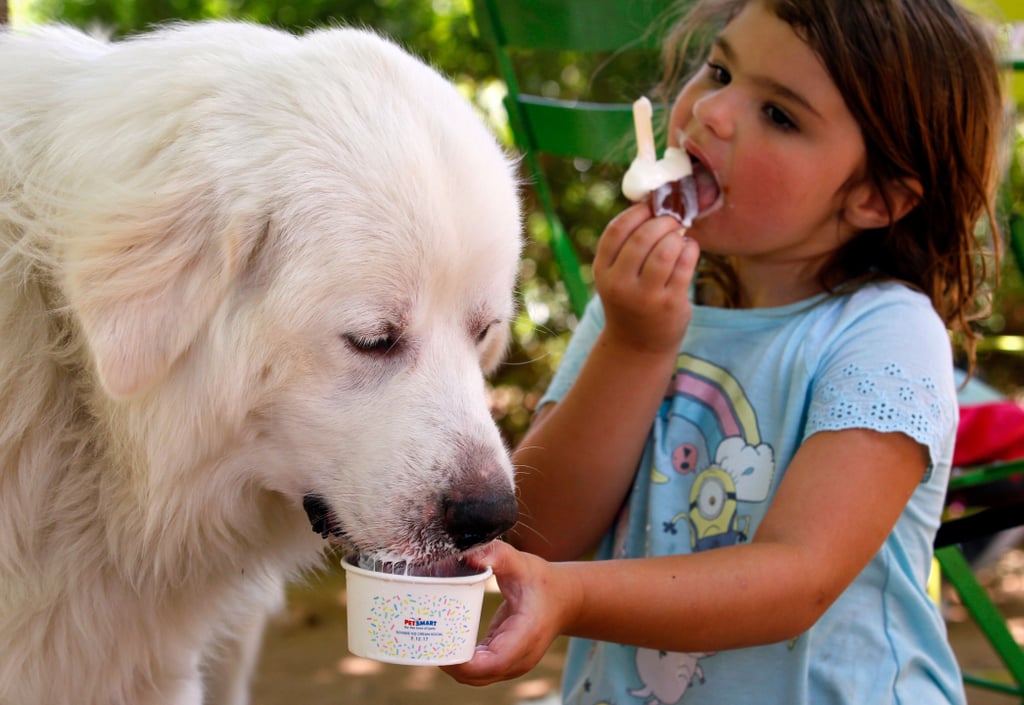 PetSmart Free Ice Cream