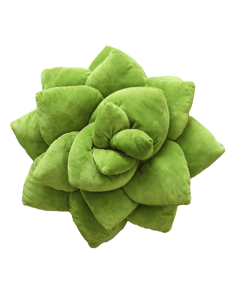 Big Pop Succulent Plush Pillow — Olive Green