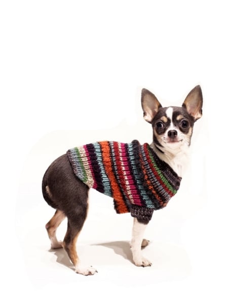 Keep your pup warm this season and support the New York Humane Society with one of these Peruvian dog sweaters ($49-$79), hand-knit with alpaca yarn. They come in sizes small enough for a Yorkie and large enough for a Labrador retriever, and each one is unique.