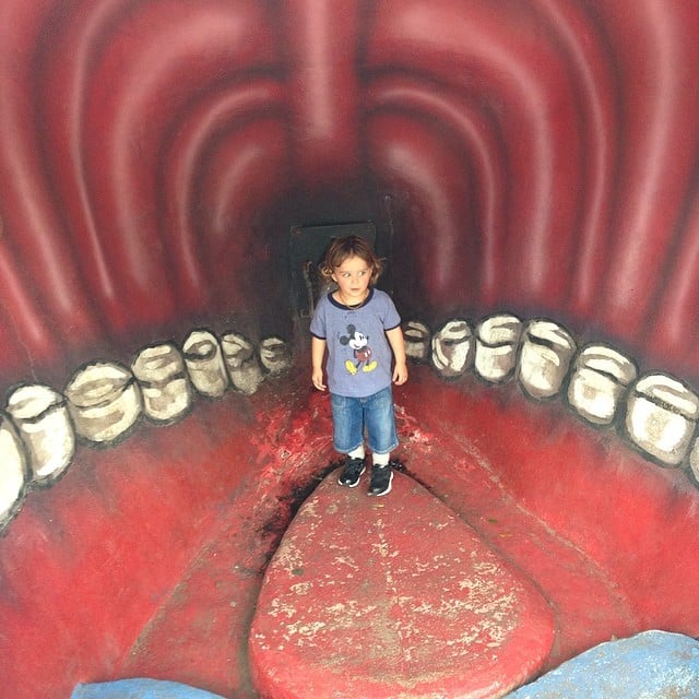 Arthur Bleick experienced what it's like inside a whale during a visit to New Orleans.
Source: Instagram user therealselmablair