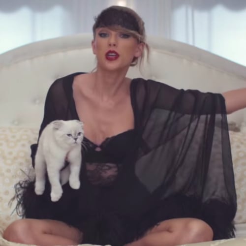 Dating A Cat Person Popsugar Love Sex