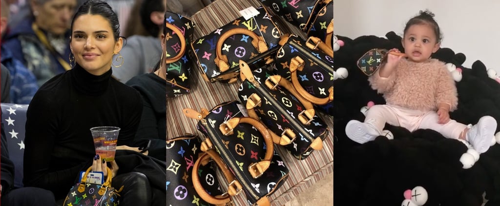 Kendall Jenner Mini Louis Vuitton Bag at Basketball Game