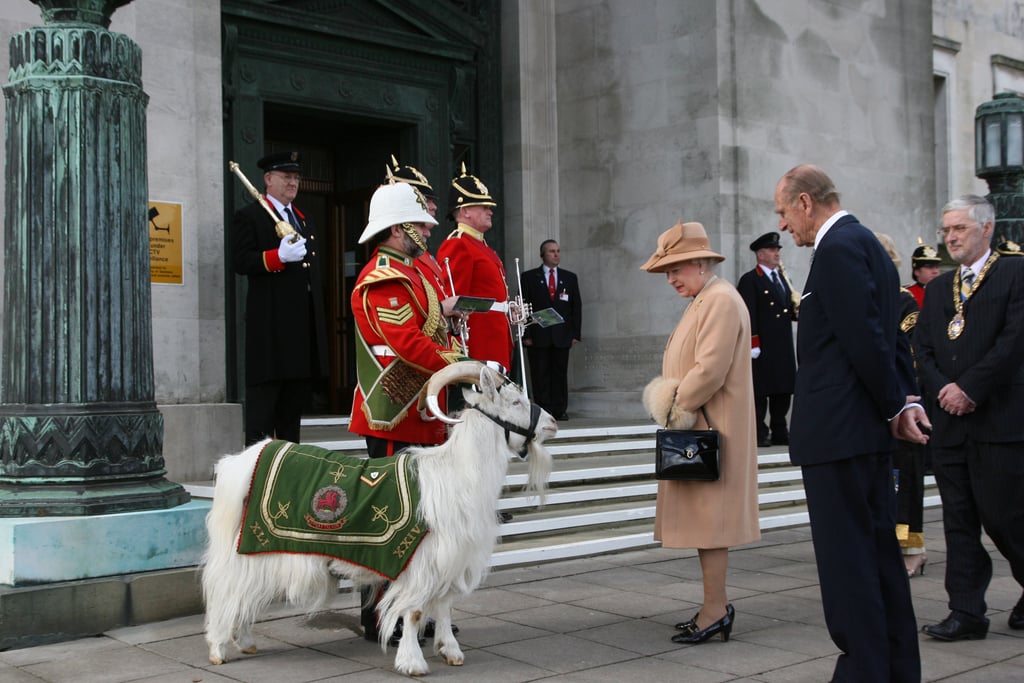 The queen and Prince Philip admired a ceremonial goat in Swansea, Wales, back in 2008.