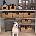 Pantry-Organization Ideas From TikTok