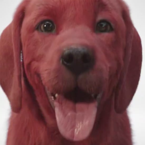 Clifford the Big Red Dog Live-Action Movie Teaser