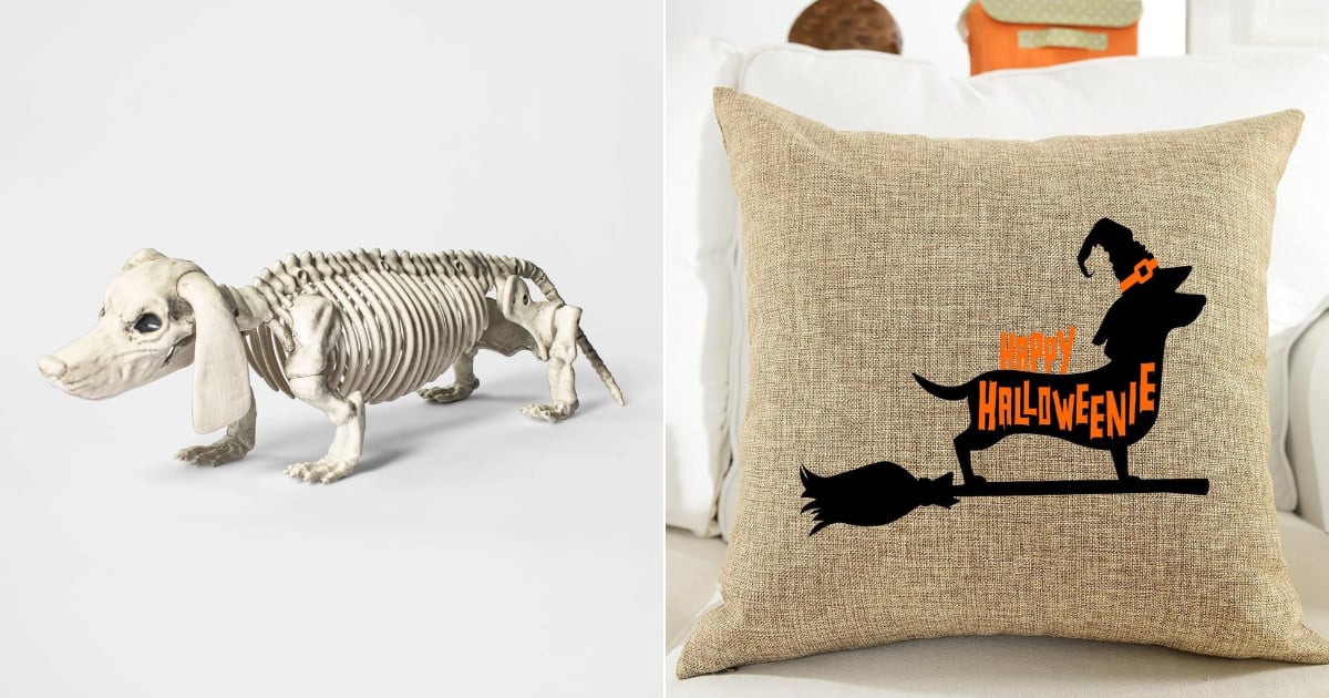 Shop the Cutest Halloween Decorations For Dog-Lovers | POPSUGAR Pets