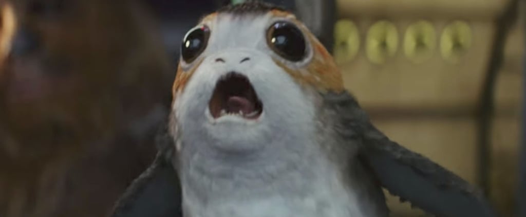 What Are Porgs in Star Wars: The Last Jedi?