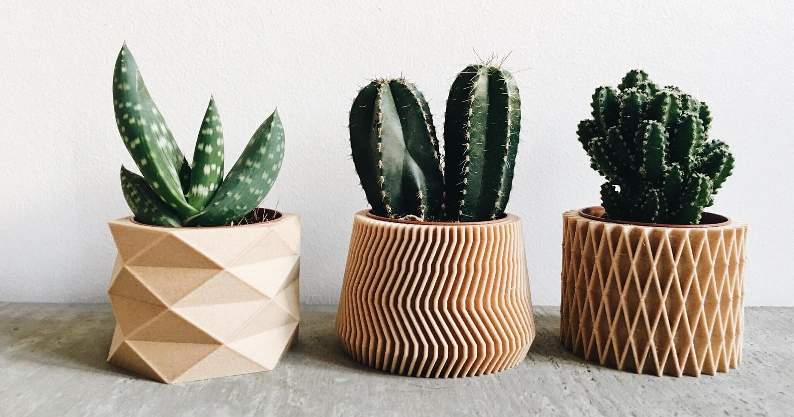 Best Pots For Succulents POPSUGAR Home