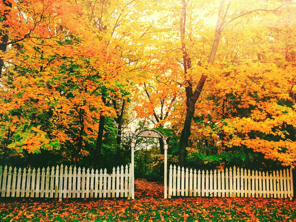 Zionsville, IN