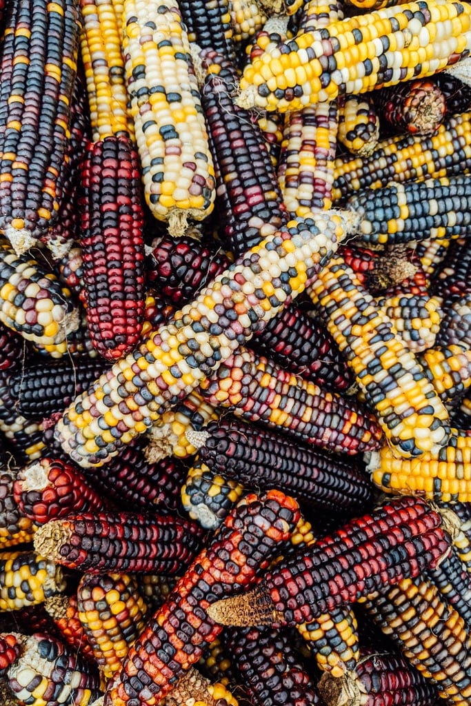 Corn iPhone Wallpaper