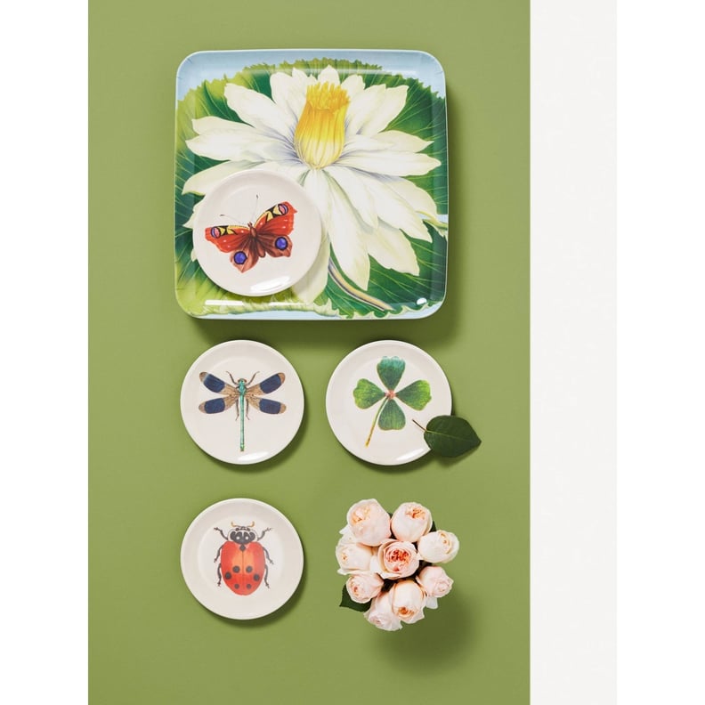 John Derian Insect-Print Melamine Appetizer Plate Set