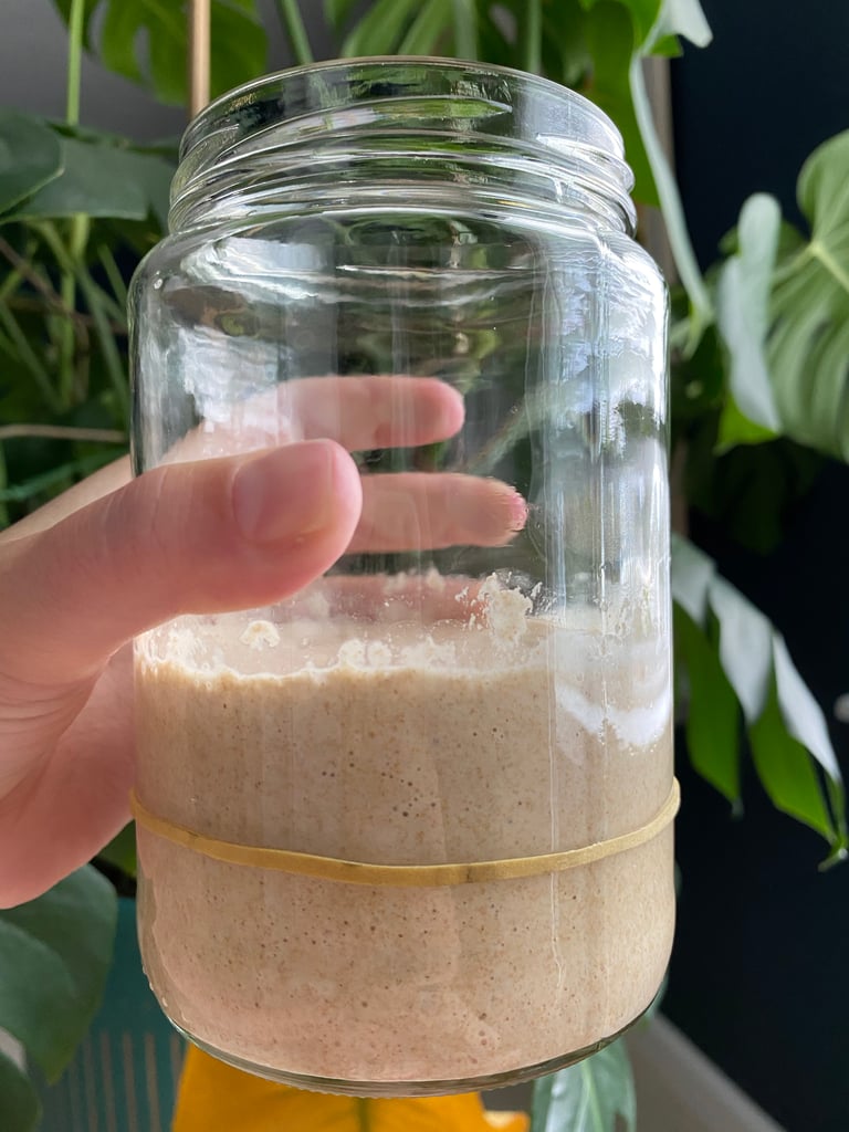 Sourdough Starter Day 15