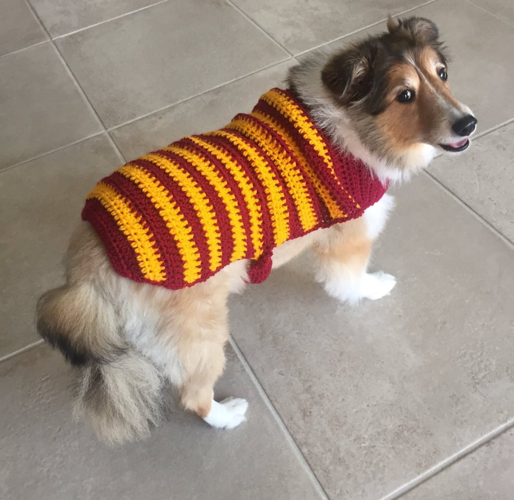 Gryffindor Striped Dog Sweater