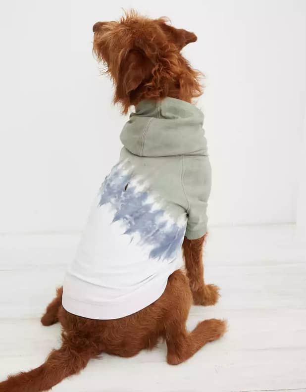 American Eagle Has the Cutest Dog Clothes and Bandanas