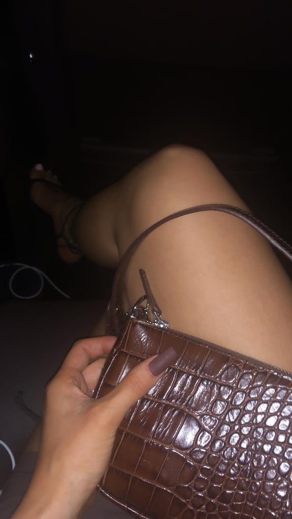 Kylie Jenner Brown Bag at Travis Scott's Birthday