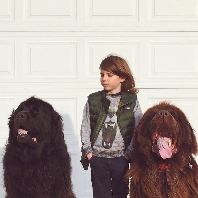 Photos of Boy With His Dogs and Horse