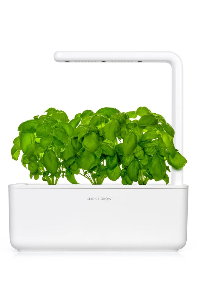 An Indoor Garden: Click & Grow Smart Garden 3 Self Watering Indoor Garden