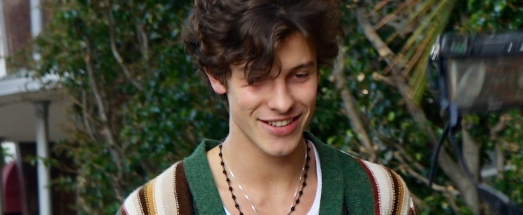 Shawn Mendes With Camila Cabello in a Green Striped Cardigan