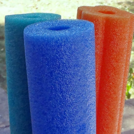 Fire Department Warns Against Snakes Living in Pool Noodles