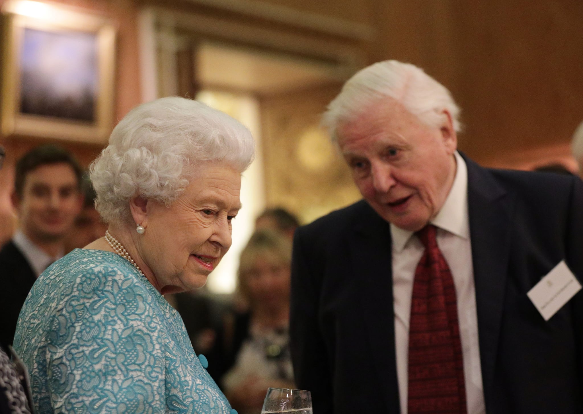 LONDON, ENGLAND - NOVEMBER 15:  Queen Elizabeth II and Sir David  Attenborough attend a reception to showcase forestry projects that have been dedicated to the new conservation initiative The Queen's Commonwealth Canopy (QCC) at Buckingham Palace on November 15, 2016 in London, England.  (Photo by Yui Mok - WPA Pool/Getty Images)