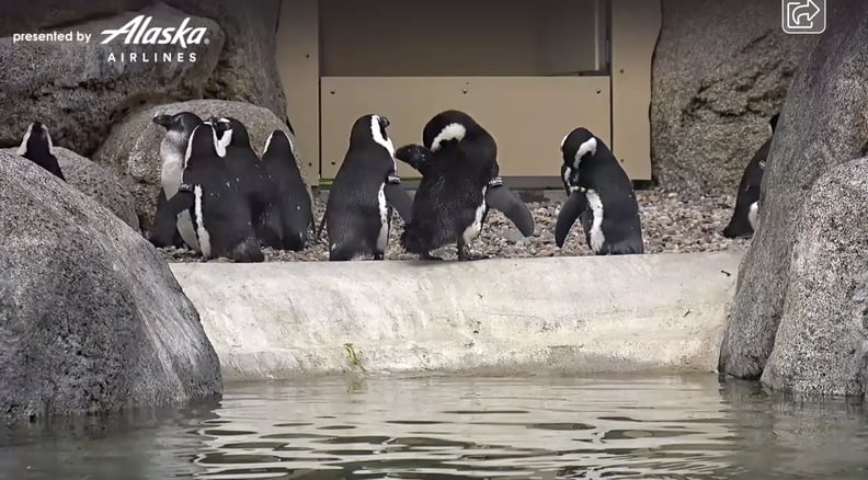 San Diego Zoo