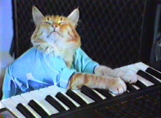 Keyboard Cat