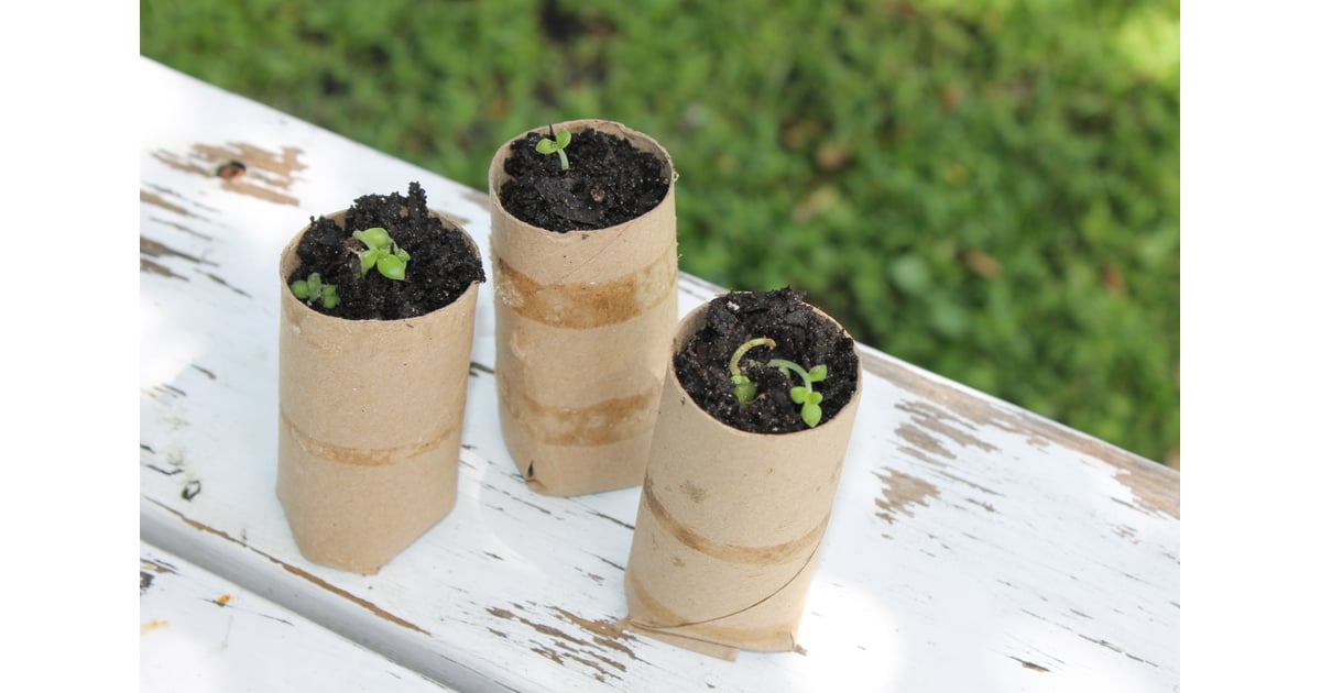 Fill the cardboard tube with soil and your seeds. Gardening DIYs POPSUGAR Home Photo 4