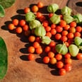 What Are Adaptogens — and Are They Actually Good For You?