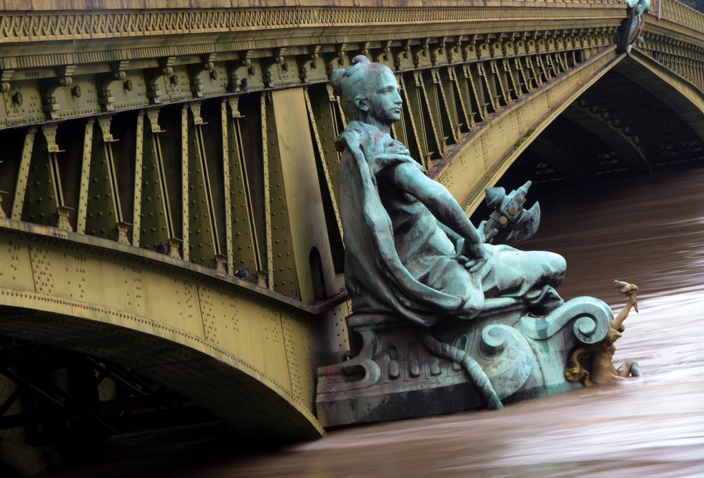 Paris Flood Photos 2016