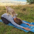 This Relaxing New Yoga Class Is Full of . . . Goats?!