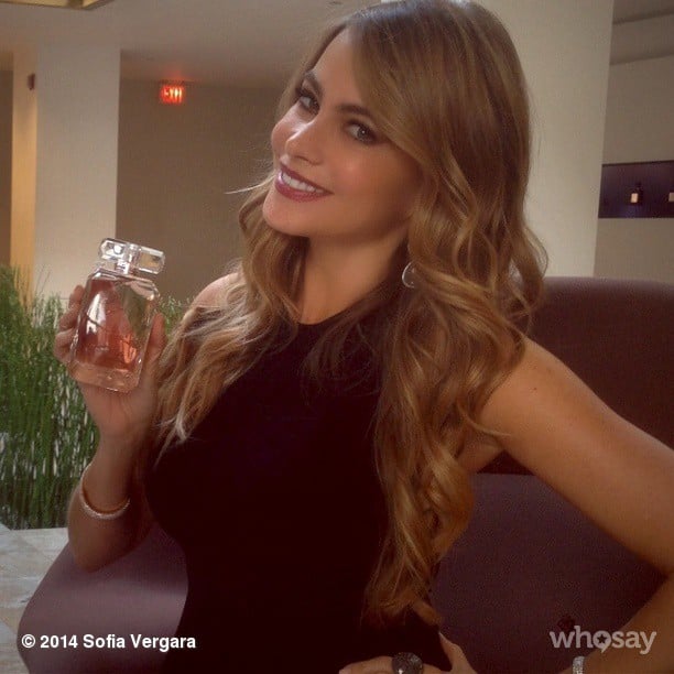 Sofia Vergara announced that her new perfume is now available online and in stores.
Source: Instagram user sofiavergara