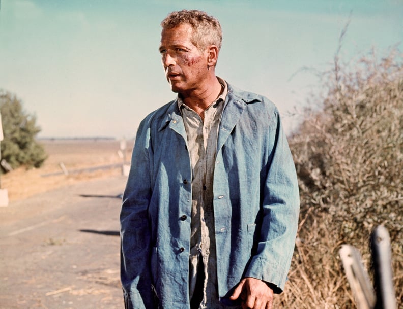 Cool Hand Luke