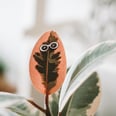 These Adorable Pins Are Like Earrings For Your House Plants
